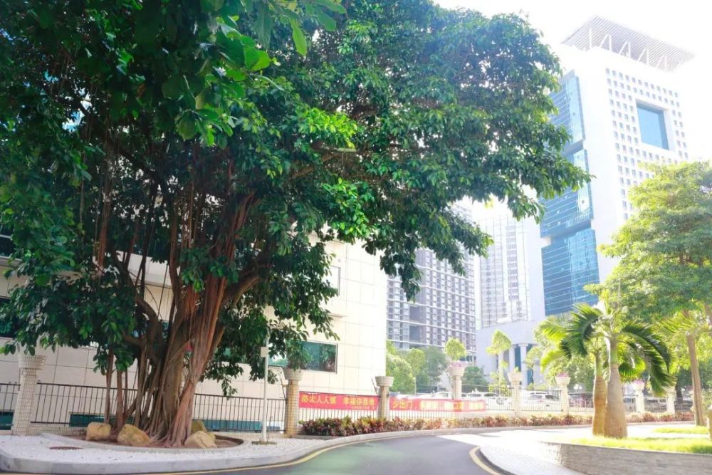 深大优舶橘郡美高举行honorroll颁奖典礼