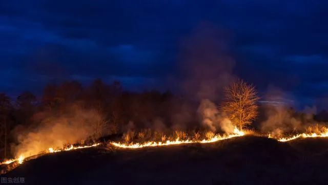 北极地区|北极附近森林大火肆虐！38度高温比热带还热！