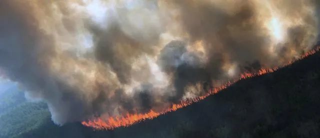 北极地区|北极附近森林大火肆虐！38度高温比热带还热！