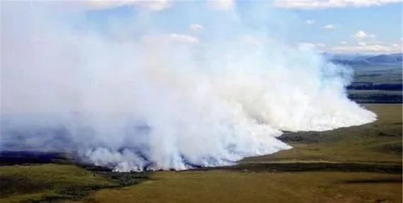 北极地区|北极附近森林大火肆虐！38度高温比热带还热！