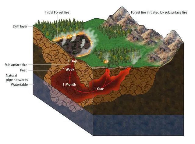 北极地区|北极附近森林大火肆虐！38度高温比热带还热！