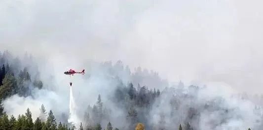 北极地区|北极附近森林大火肆虐！38度高温比热带还热！