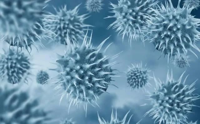 北极地区|北极附近森林大火肆虐！38度高温比热带还热！