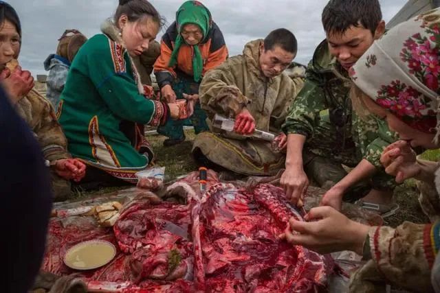 北极地区|北极附近森林大火肆虐！38度高温比热带还热！