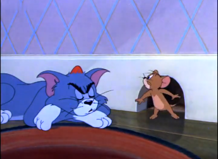 猫和老鼠：汤姆好不容易清醒了，结果又被主人给打傻了，杰瑞：我白忙活了！