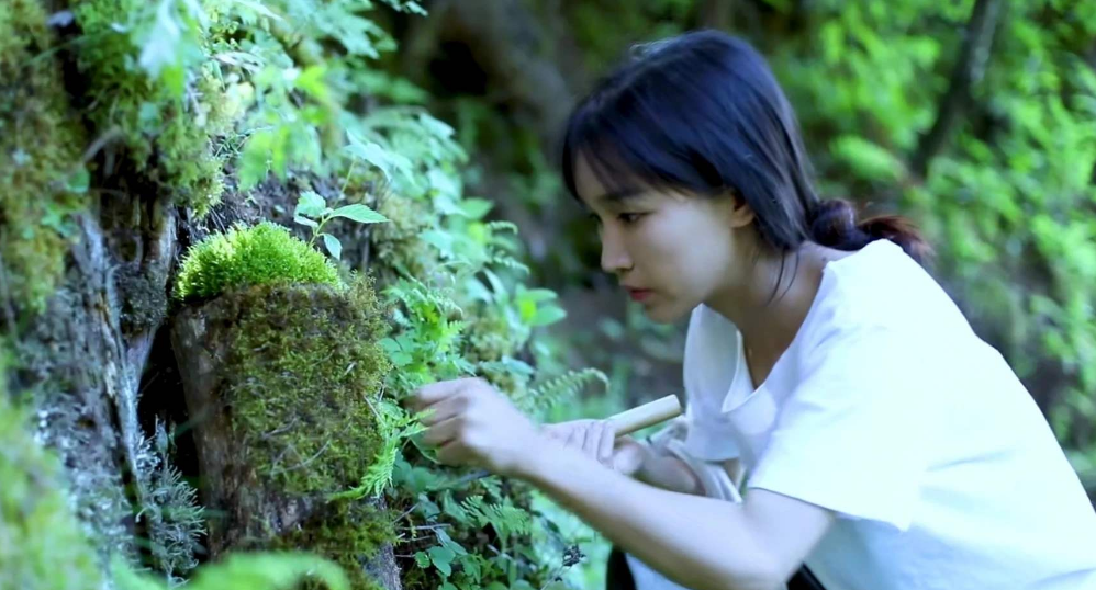 李子柒做冰淇淋,当摄影师不小心关掉滤镜后,网友:没胃口了!_腾讯新闻