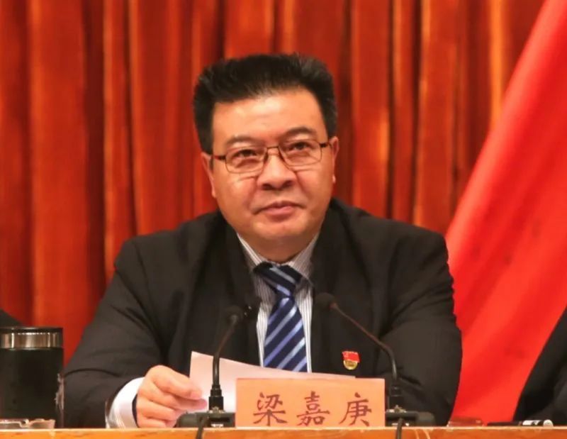 梁嘉庚曾在2011年7月至2015年4月任独山县委副书记,县长,与潘志立"