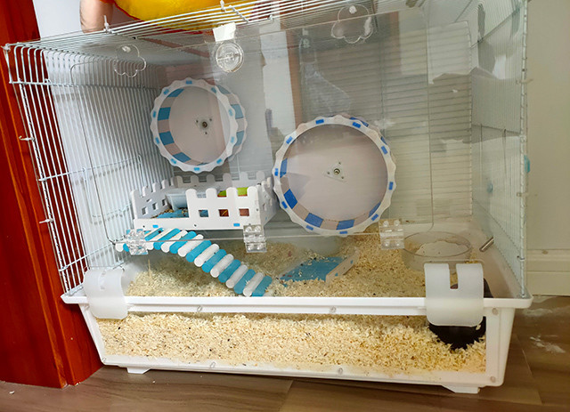你给仓鼠住的笼子真的是别墅吗最全面的仓鼠笼选购攻略