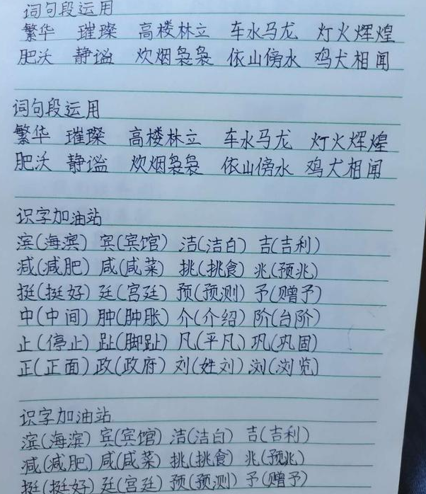 小学生晒课后作业,字迹工整到让人羡慕,网友:有学霸潜质