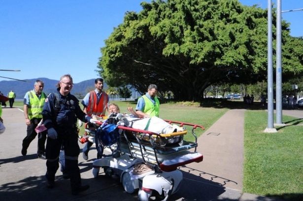 鲨鱼|澳大利亚女子遭鲨鱼袭击重伤，送医途中仍高喊“我爱鲨鱼”