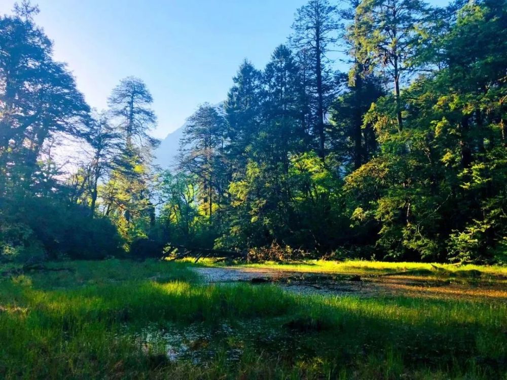 讨好对方不如取悦自己,海螺沟送你一场七夕的浪漫旅行