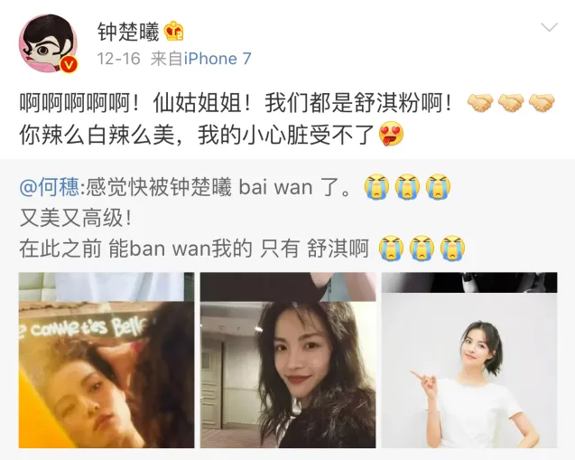 钟楚曦|这么清醒又努力的宝藏女孩真的太让我上头了