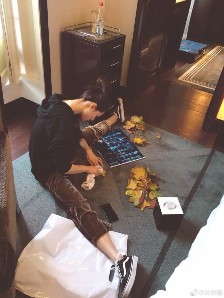 钟楚曦|这么清醒又努力的宝藏女孩真的太让我上头了