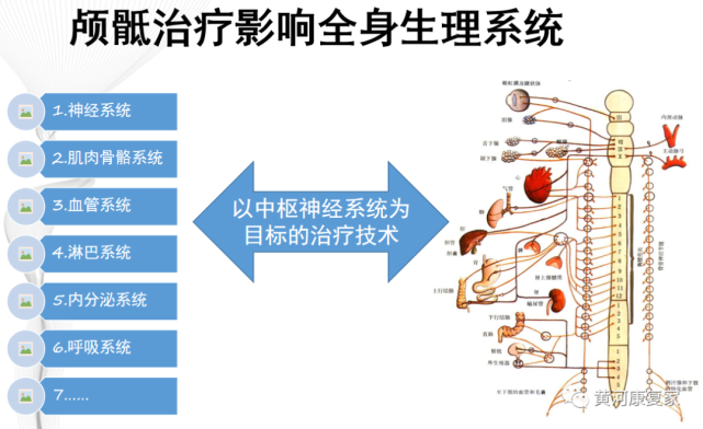 神奇的颅骶疗法:带你走进不一样的世界