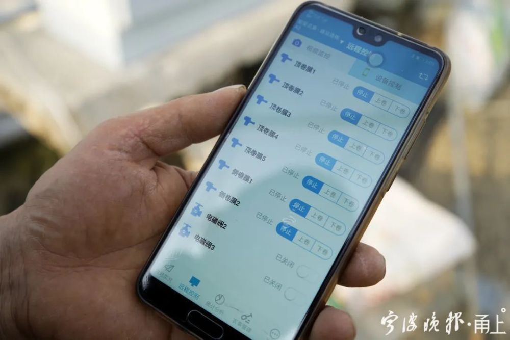 西瓜|宁波男子把西瓜种在“半空”！卖6元一斤还供不应求！