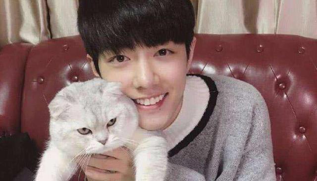 肖战工作室|肖战工作室致歉：承认管理粉丝疏忽引发矛盾，用积极态度引导粉丝