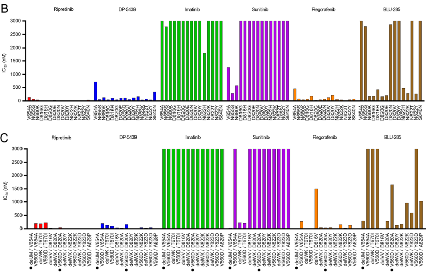 胃肠道间质瘤|汪明教授：胃肠间质瘤后线治疗TKI药物解读
