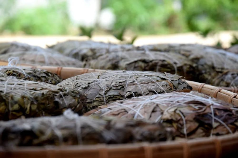 姑辽茶山的新鲜茶事