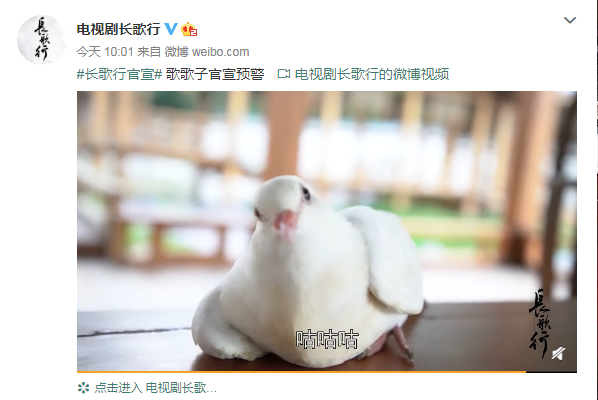 长歌行|古装大剧《长歌行》爆定妆照，迪丽热巴、赵露思的组合让人惊喜