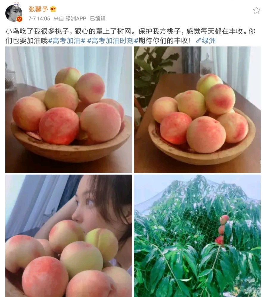 张馨予|馋猫张馨予，满满一盘8个黄豆粉糍粑，全都被吃光了，不禁感叹：好软糯