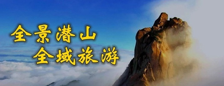 潜山人口数_441224人!第七次全国人口普查潜山常住人口数据发布(2)