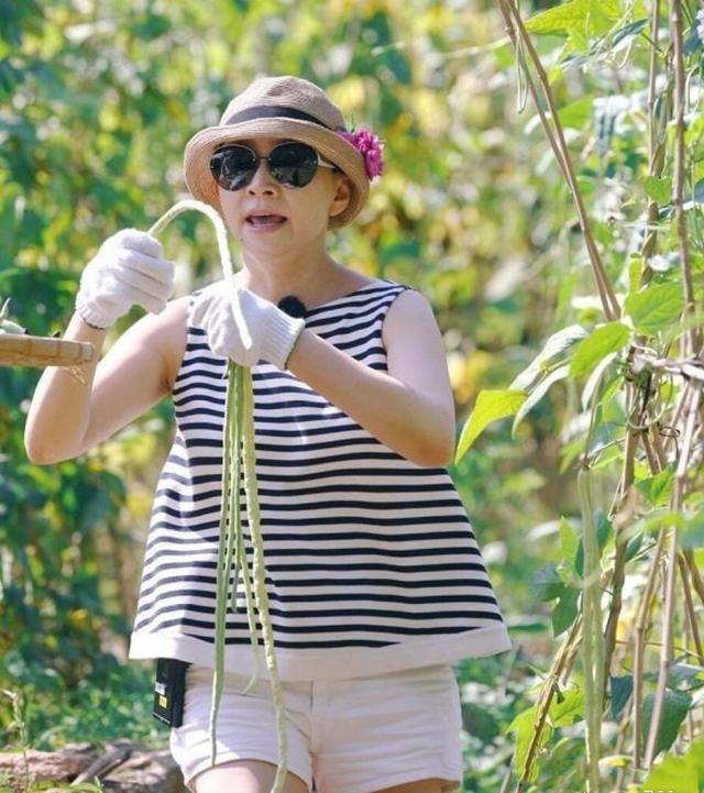 向往4|《向往4》收官终于放大招！宋丹丹终于来了，大华缺席成最大遗憾