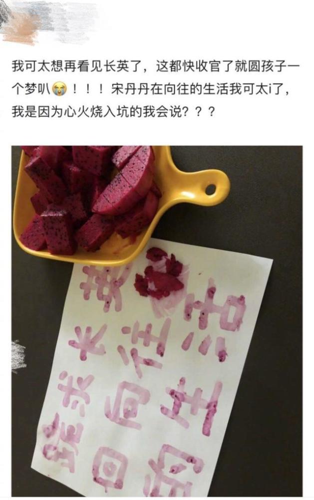 向往4|《向往4》收官终于放大招！宋丹丹终于来了，大华缺席成最大遗憾