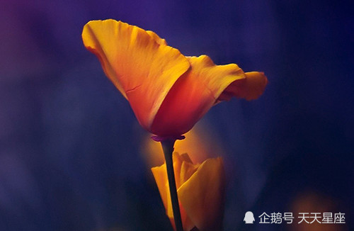 7月中下旬 咸鱼翻身 运势反弹的三个星座 运势 财运 星座 天蝎座 射手座 巨蟹座