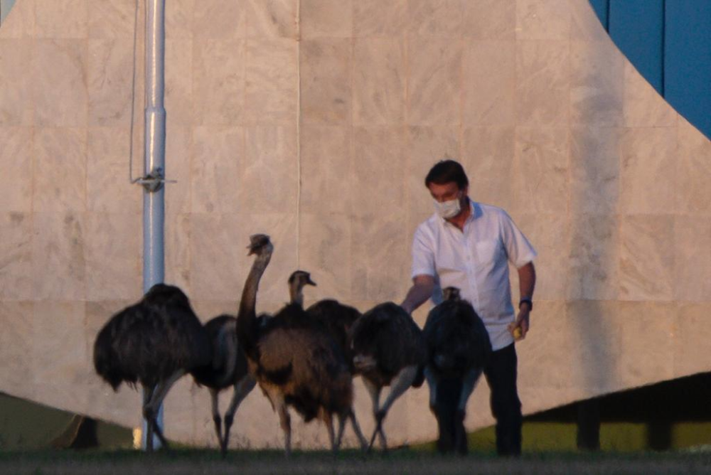 博索纳罗|巴西总统隔离后要求再做一次检测，散步时还被大鸟给咬了