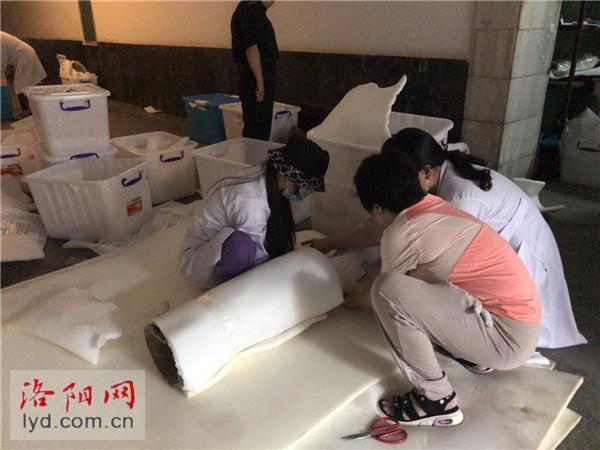 洛阳古代艺术博物馆|洛阳给1712件文物“搬家” 镇墓兽裹四层“防撞衣”