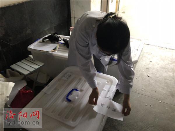 洛阳古代艺术博物馆|洛阳给1712件文物“搬家” 镇墓兽裹四层“防撞衣”