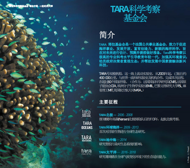 欧洲_社会|【生态】欧洲七大河流中均发现防护口罩和手套