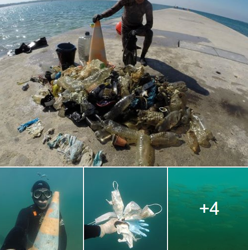 欧洲_社会|【生态】欧洲七大河流中均发现防护口罩和手套