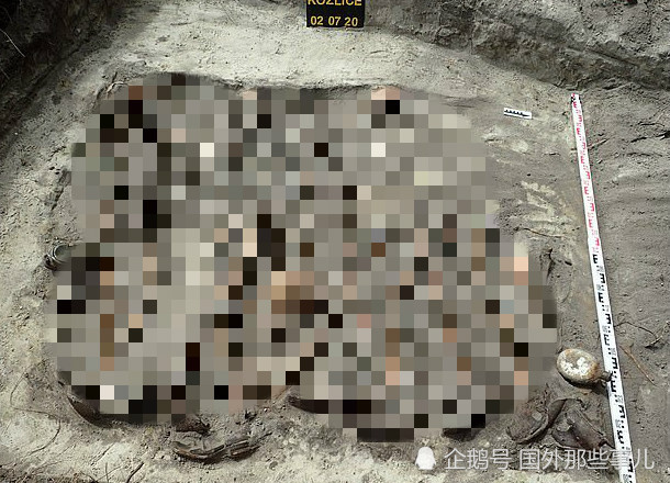 考古学家|村子里挖出18具尸骨，边上发现武器和勋章，死者全部遭残忍杀害