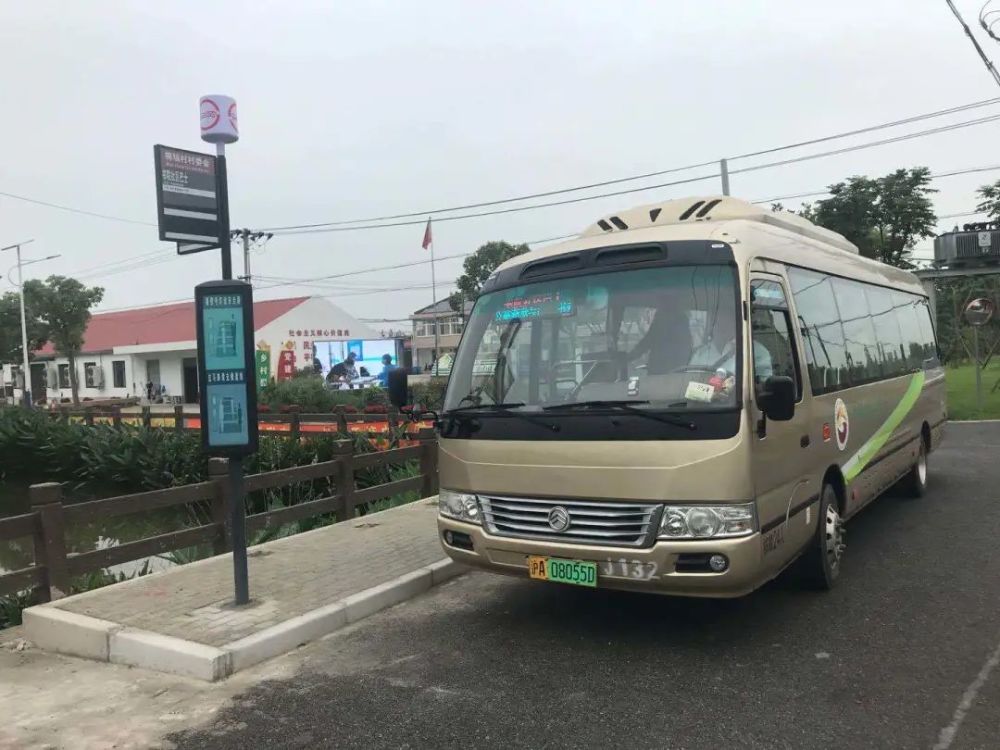 临港新片区这个镇新增社区巴士,居民出行可达地铁站