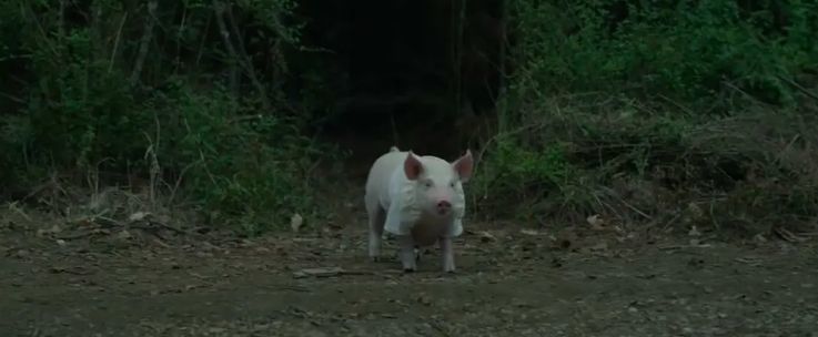 川建国|让川建国禁播的影片，到底犯了哪些禁忌？