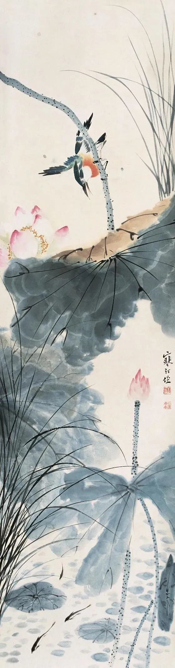 江寒汀|没骨荷花,干净唯美!(高清)