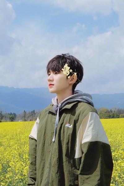 王俊凯|豆瓣好恶感排名：肖战四次“恶感”第一，王俊凯两次“好感”第一