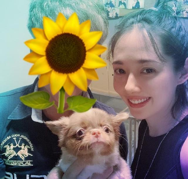 郭碧婷|孕妇郭碧婷剪利落短发留台待产，抱狗狗出镜脸上露久违笑容