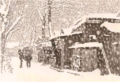 胡同|荷风吹落是乡愁，重寻北京老胡同的尘世柴烟