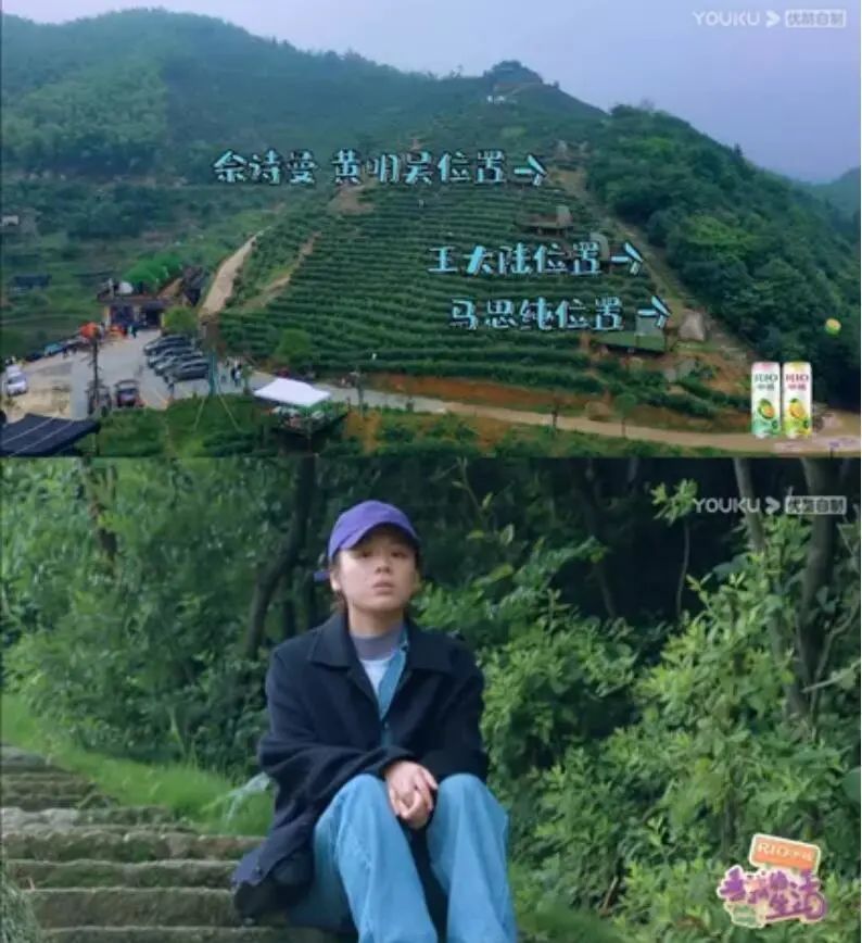 马思纯|马思纯，焦虑不是你演烂片的借口