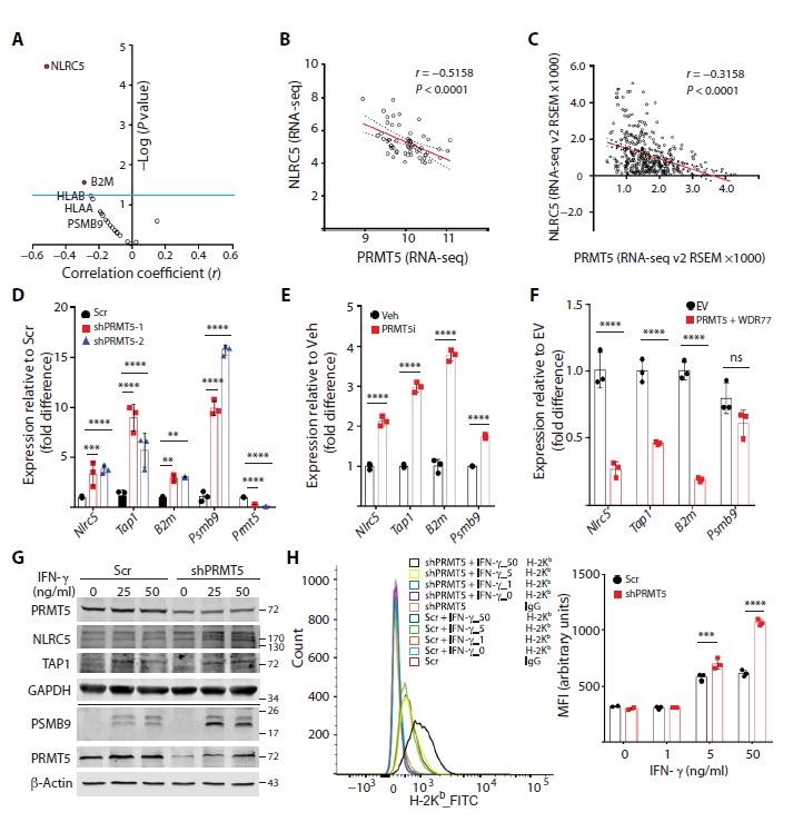 肿瘤|Science子刊：抵抗肿瘤免疫疗法的“帮凶”找到了！