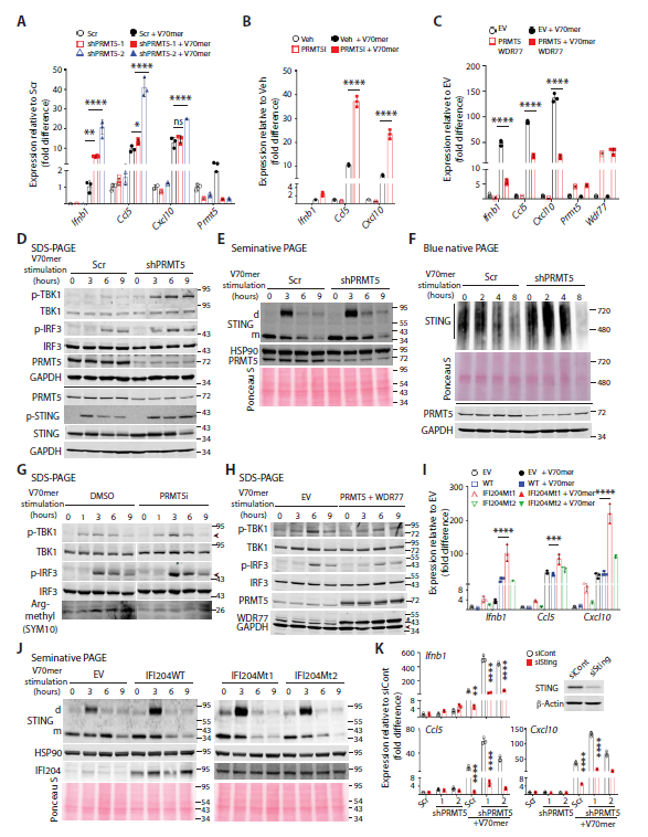 肿瘤|Science子刊：抵抗肿瘤免疫疗法的“帮凶”找到了！