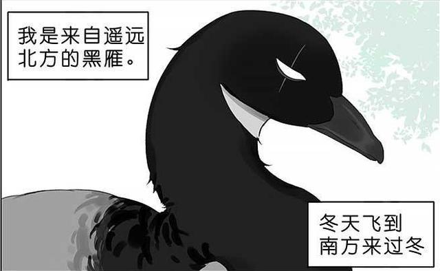 萌系漫画 小麻雀卡在瓶口出不来 还好有大狗狗前来相助