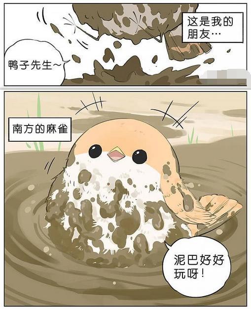 萌系漫画 小麻雀用身体给黑雁洗羽毛 好可爱 漫画