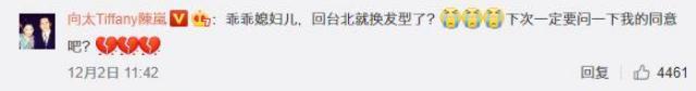 郭碧婷|孕妇郭碧婷剪利落短发留台待产，抱狗狗出镜脸上露久违笑容
