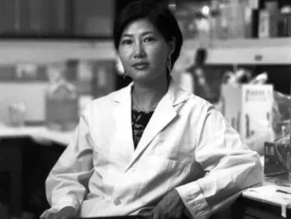 人类免疫缺陷病毒|美籍华裔病毒学家黄以静去世 她是世界首位破解艾滋病毒结构的科学家