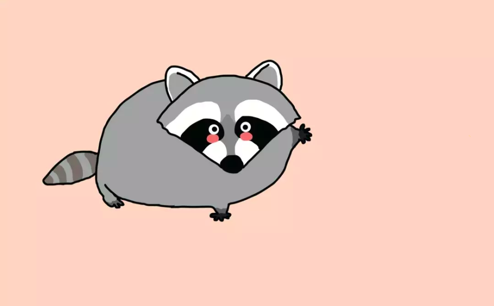 猫小浣熊|小熊猫小浣熊是谁还傻傻分不清楚？