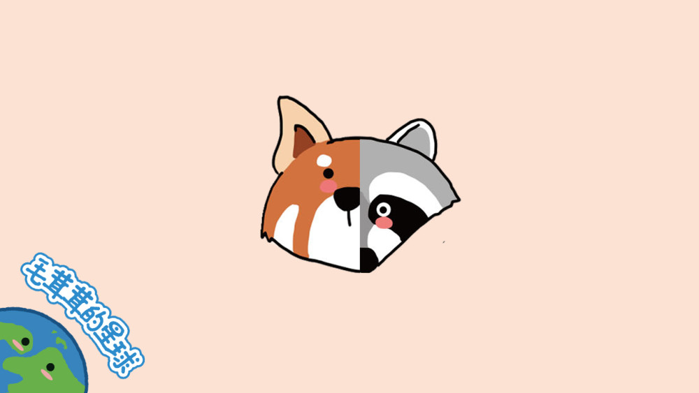 猫小浣熊|小熊猫小浣熊是谁还傻傻分不清楚？