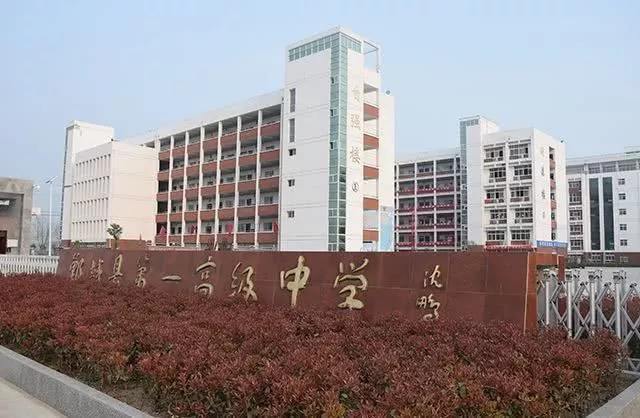 河南周口最好的四所高中你追我赶高考状元将花落谁家